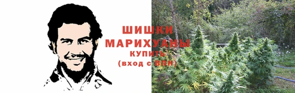 прущие крисы Володарск