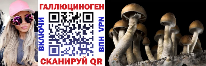 Псилоцибиновые грибы мицелий Купить Сим